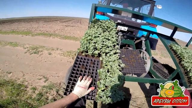 144 кассета в действии 23 05 2015 смотреть онлайн