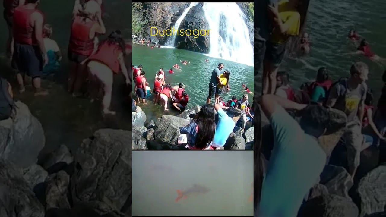 Гоа ,India, goa#shorts смотреть онлайн