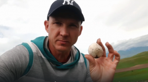 Собирать грибы. Природа красиво. Воздух свежий. Грибы шампиньоны.