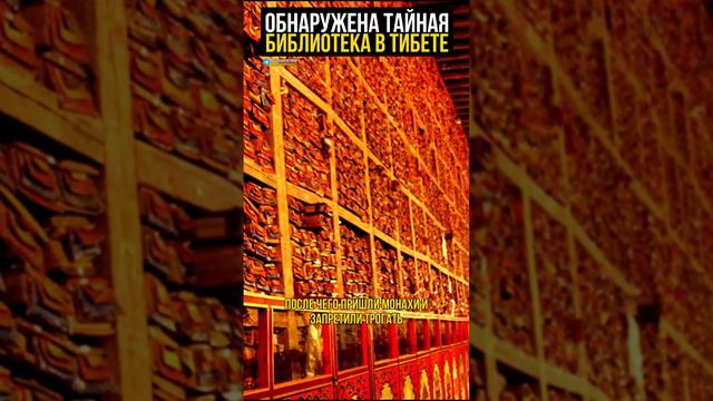 Обнаружена тайная библиотека Тибета! #археология #Тибет смотреть онлайн