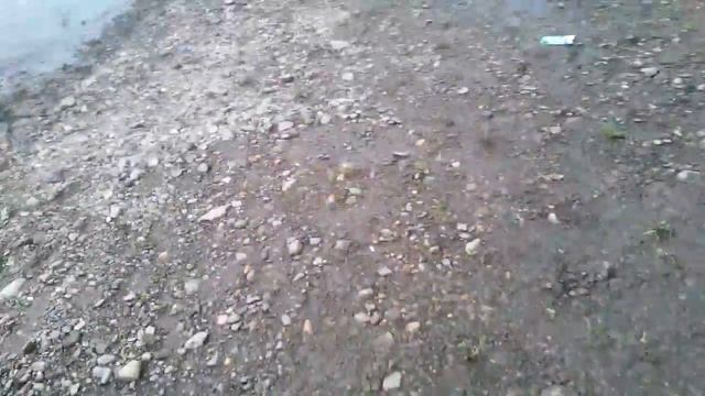 VLOG Рыбалка I Урок по ловле рыбы от рукожопа смотреть онлайн