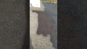 обработка асфальтной крошки спец составом.устроцство парковок , дорожек  разделением слоёв.