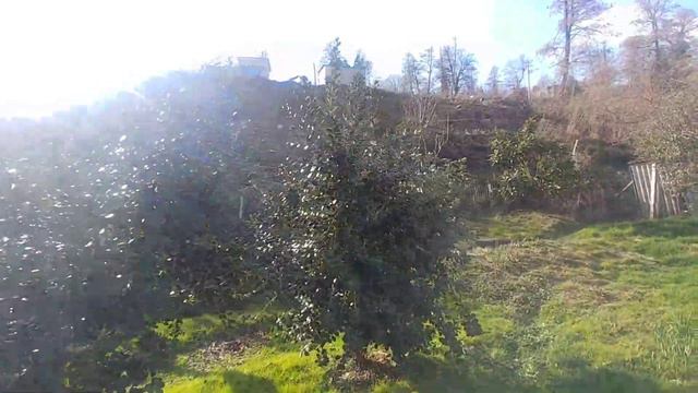 участок в Сочи с шикарным видом на горы и море для КП/Высокое смотреть онлайн