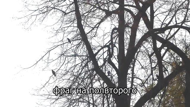 Рейд октября (драйвовый. - 5G + дерево щастья) смотреть онлайн