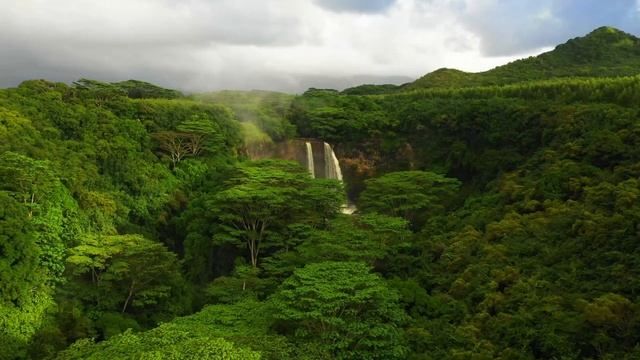ВОДОПАТ. ЗВУК ВОДОПАДА И успокаивающая музыка. смотреть онлайн