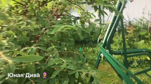 758: Женский клуб. Дача. Продавать не продавать дачу? смотреть онлайн