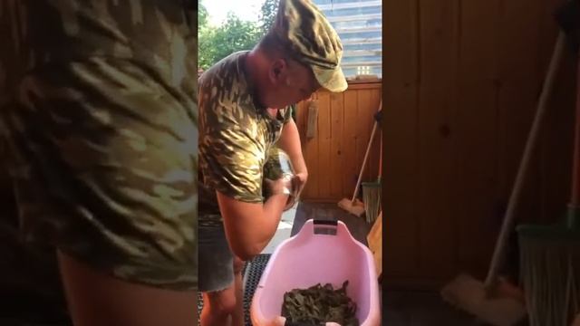 Магическая природа