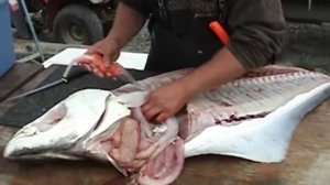 Разделка крупного палтуса