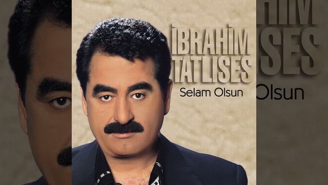 Kara Üzüm Habbesi