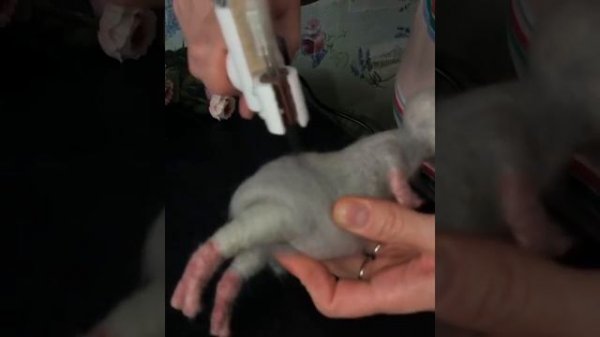 Машинка для валяния шерсти 3 иглы в работе, можно валять 2-1 иглой www.livemaster.ru/feltingmachine