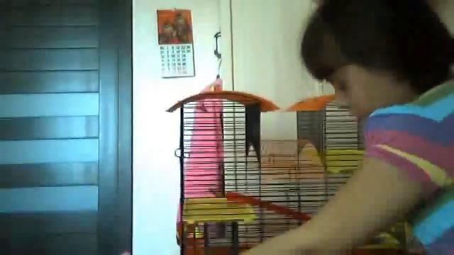 Видео с веб-камеры. Дата: 11 апреля 2013 г., 11:51.