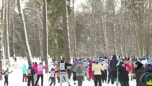 Лыжня России 2015 в Смоленске (Красный Бор 8.02.15) смотреть онлайн