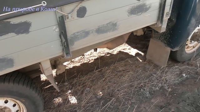 Капалуха на дороге. смотреть онлайн