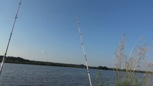 Ловля леща / Донка крокодил против фидера / Приготовление прикормки / Рыбалка в Тверской области