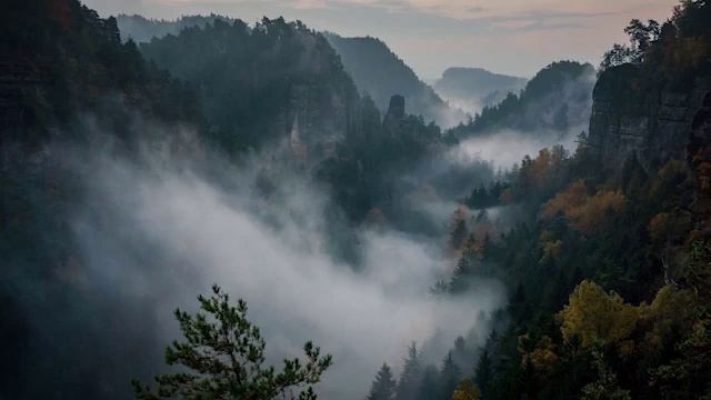 Super Deep Meditation,Relax Mind Body, Inner Peace,Relaxing Music, Spa, Study, Sleeping Music смотреть онлайн
