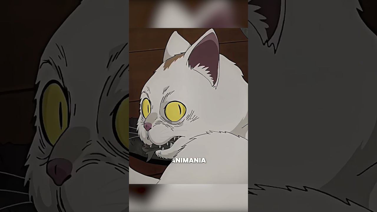 Проклял кота и пожалел об этом | Коллекция Дзюндзи Ито #аниме #анимемоменты #ужас смотреть онлайн