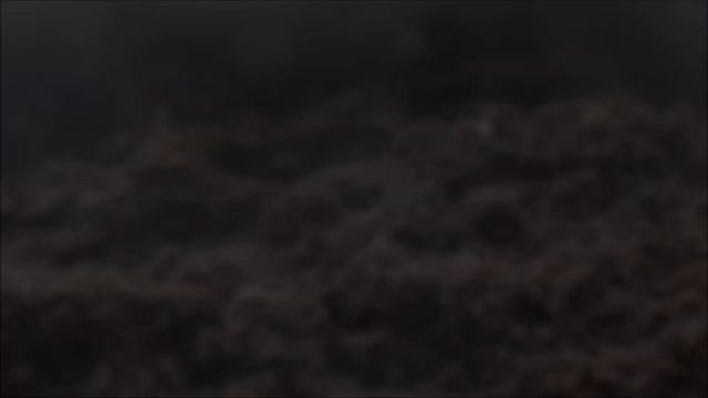 Грунт для рассады из Fix Price. Обзор земли из Фикс Прайс смотреть онлайн