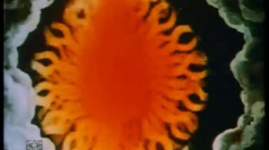 Queen - Heaven For Everyone (Official Video)