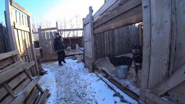 ДРУЗЬЯ ОБЪЯВЛЯЕМ СБОР НА ПИТАНИЕ ДЛЯ ХВОСТИКОВ!! ПРИШЛИ МОРОЗЫ И НАШИ ЗАПАСЫ ИСТОЩИЛИСЬ! SOS!!