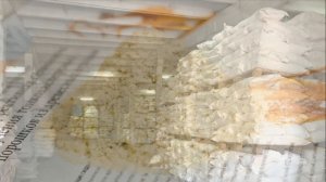 Производство Древесной муки как бизнес идея