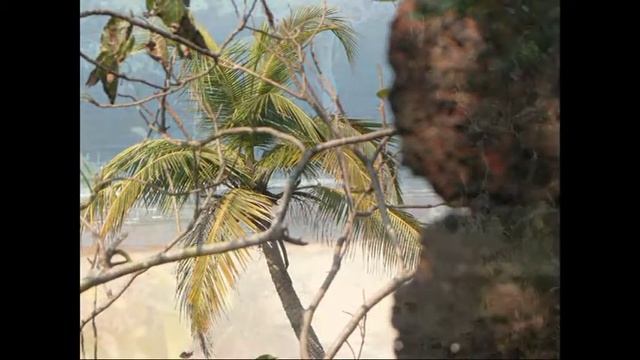 Гоа (Goa), Водопад Дудхсагар, Красный форт (Redi fort) смотреть онлайн