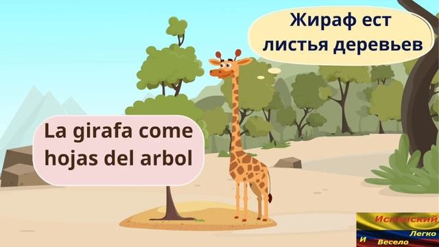 фразы о животных на испанском (1 часть ), animales en ruso ( parte 1) смотреть онлайн