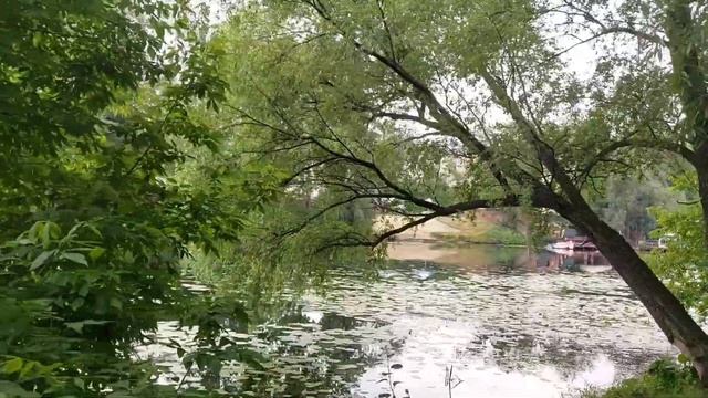 Прогулочная зона на берегу реки Псел. Мое знакомство с городом Сумы. смотреть онлайн