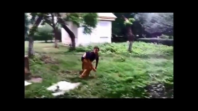 Tamir Sey - Sen   Shifu - GunFu