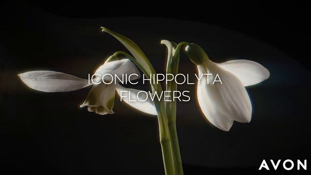 #NEW Maxime & Maxima Icon Fragrances for Him & Her | Avon смотреть онлайн