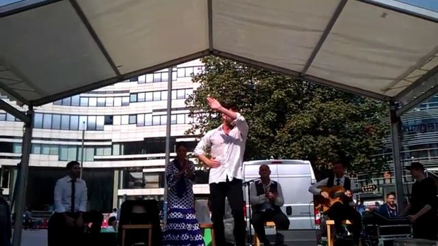 Flamenko. Düsseldorf.(5) смотреть онлайн
