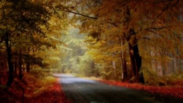 Forest Of Shadows - Eternal Autumn