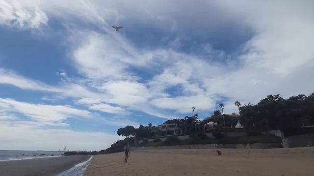 Запускаем воздушного змея/орел/Паттайя/Тайланд/пляж/ смотреть онлайн