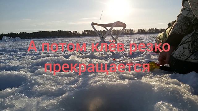 КОРЬ ЛЮТУЕТ. ПРОТОКА. ЯНДОВА ГУБА. смотреть онлайн
