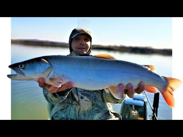Неожиданный улов. ЛОВИЛИ ЩУК А ПОЙМАЛИ ТАЙМЕНЯ. Рыбалка в ноябре смотреть онлайн