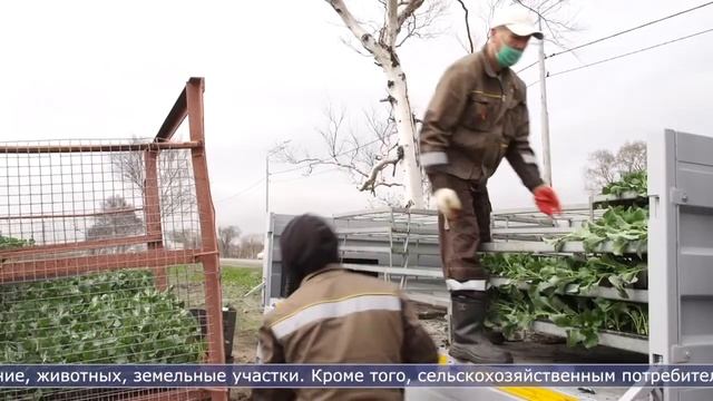 10.11.2023 Дайджест