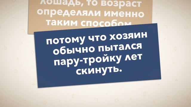 Почему дареному коню в зубы не смотрят? смотреть онлайн