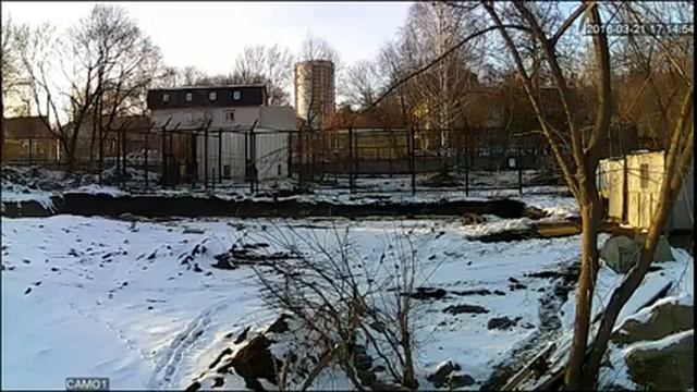 Прямая трансляция пользователя Пензенский зоопарк смотреть онлайн