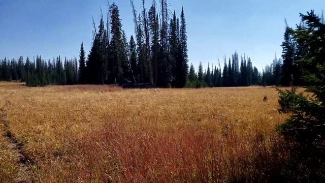 Thorofare Backpacking Sept 2021 смотреть онлайн