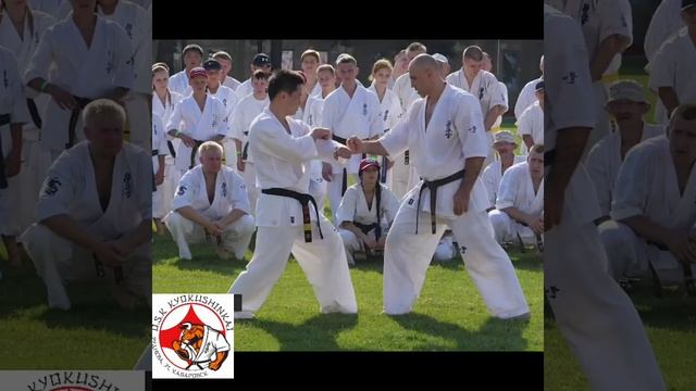 Почему детям полезно заниматься карате киокушинкай ?