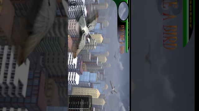 Fly Like A Bird 3 Game Review - Android смотреть онлайн
