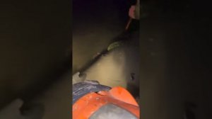 Рыбалка в ночное время! Острога! Ловля сазана и щуки!