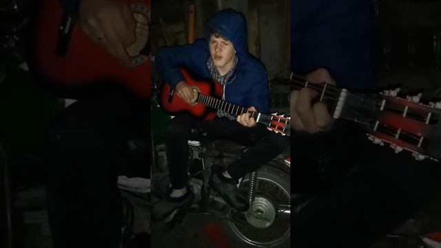 Дельфиненок на гитаре смотреть онлайн