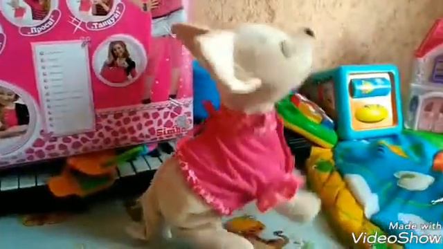 Chi Chi Love выполняет команды смотреть онлайн