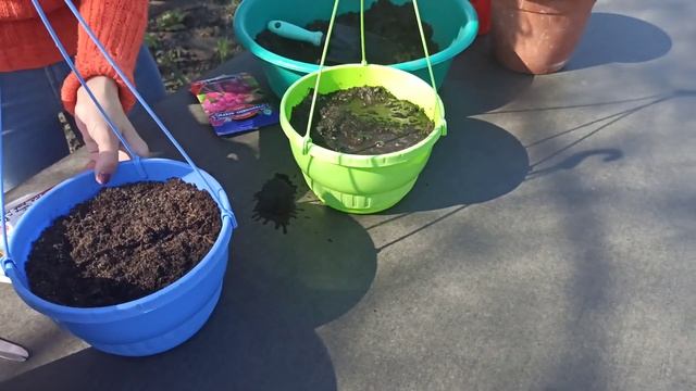 ТОП 7 самых лучших однолетних лиан смотреть онлайн