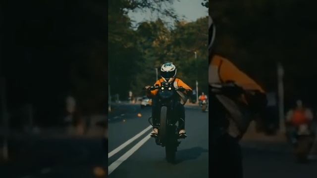 KTM Duke 390 wheelie reaction ?? #short #subscribe смотреть онлайн
