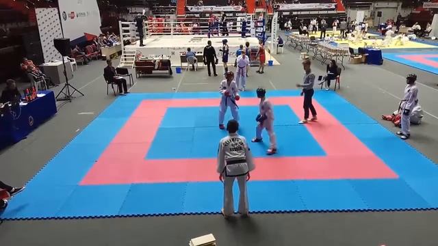 22.10.2017 Фестиваль Единоборств