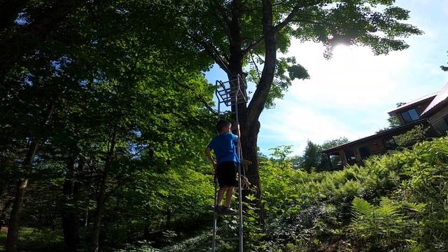 Backyard Zipline Tour - How To Make A Backyard Zipline