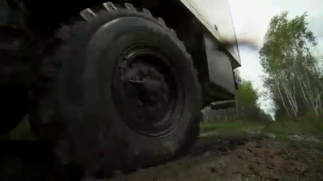 Выпуск в дикую природу амурских тигров Елену и Павлика смотреть онлайн