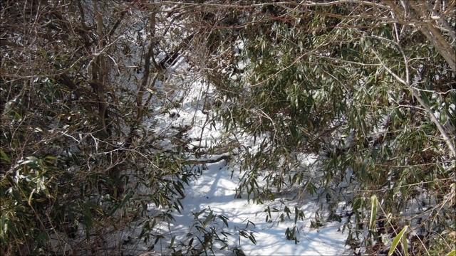 Горы Кудзю ждут весну смотреть онлайн