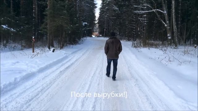 берегите лес смотреть онлайн